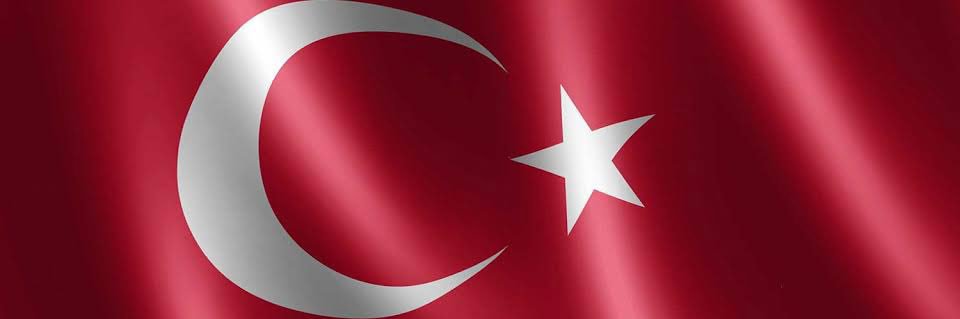 Fatih Ergenekon's banner