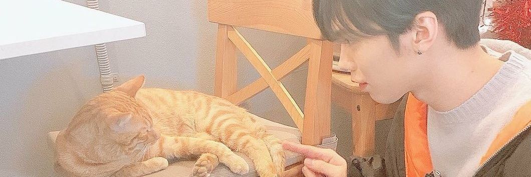 Ruby ✶ | 🌻🐺🐱🌹🌙's banner