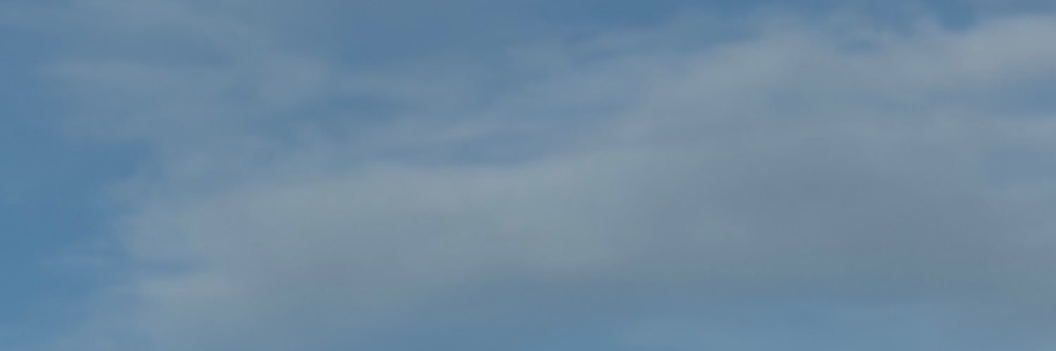 Julien's banner