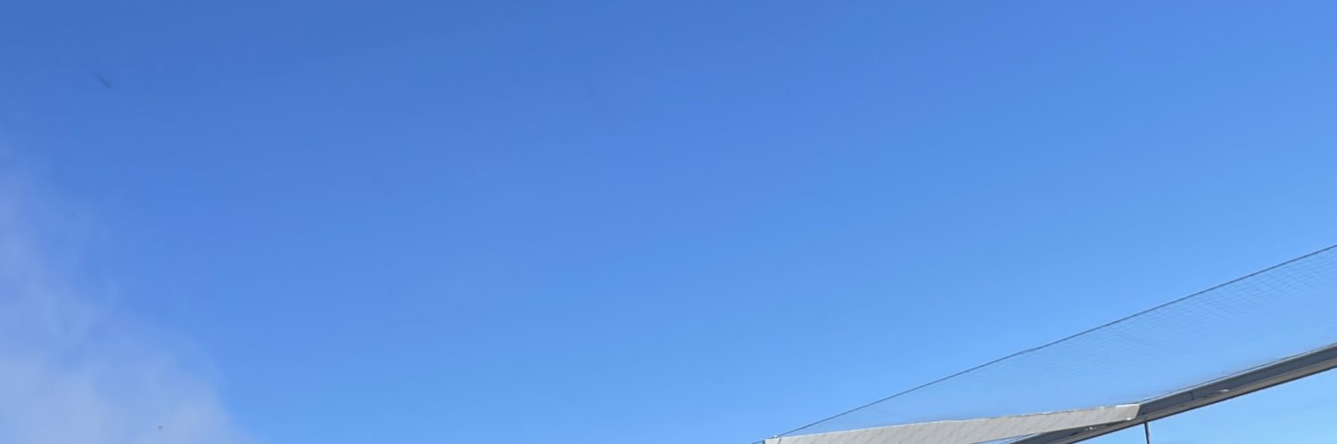 Will Ashley's banner