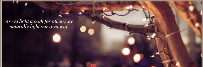 Vani Mehrotra's banner