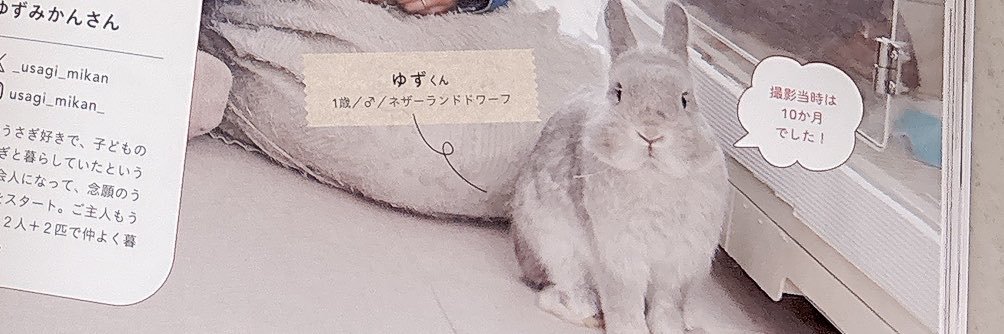 ゆず＆みかん🍊's banner