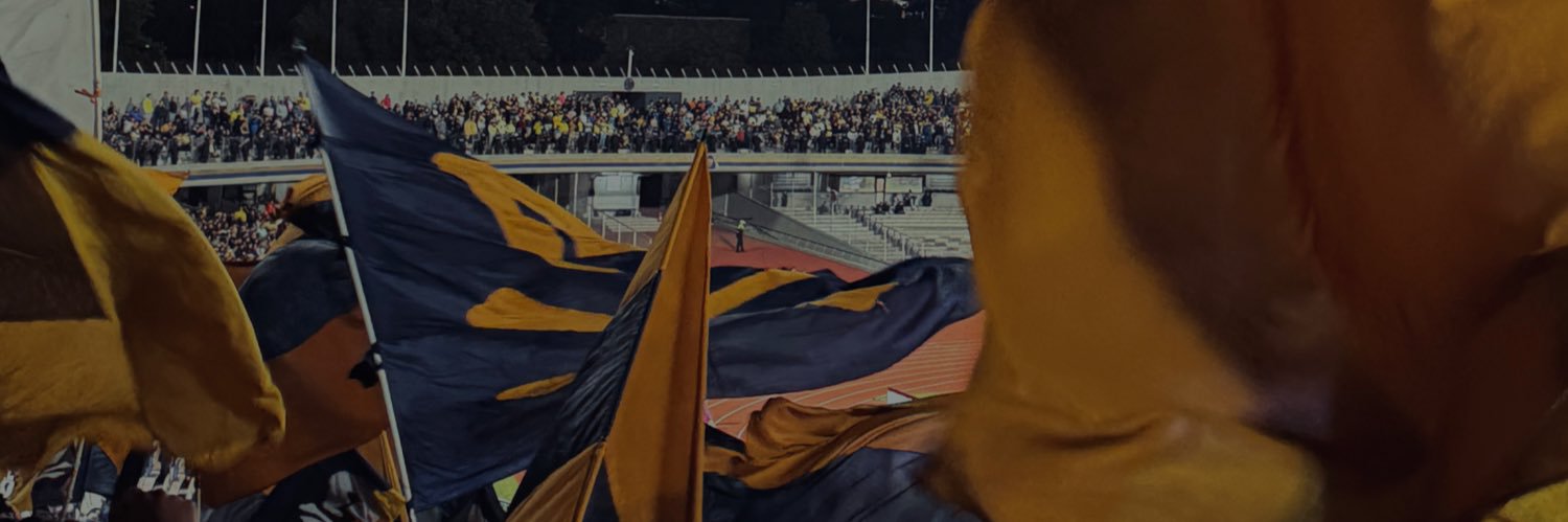 Diana's banner