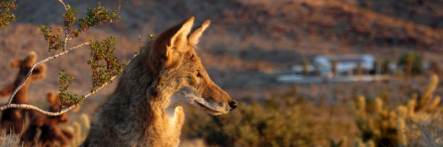 Anza-Borrego DRC's banner