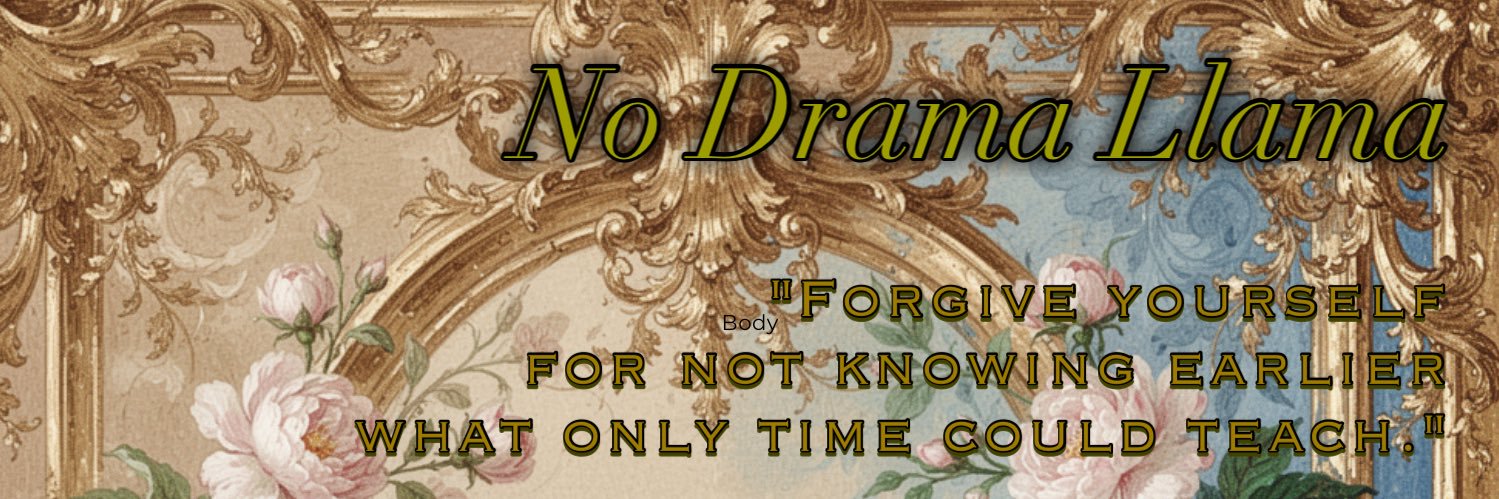 🤍💙✡️ NoDramaLlama until…'s banner
