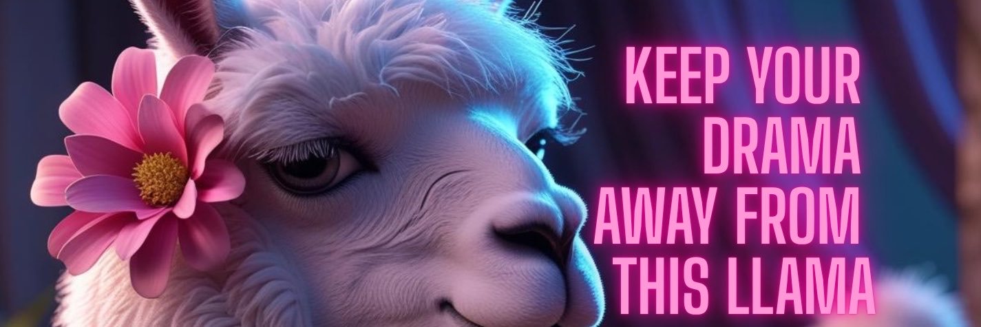 🤍💙✡️ NoDramaLlama until…'s banner
