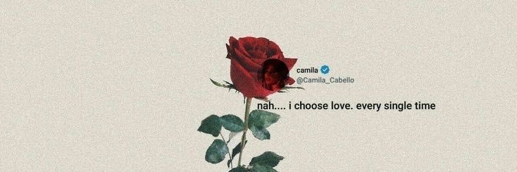 gi MET CAMILA's banner
