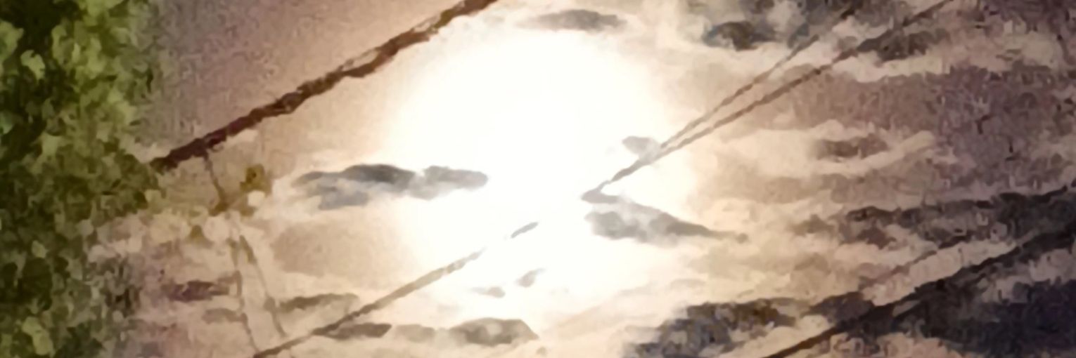 Liz🌺🎧's banner