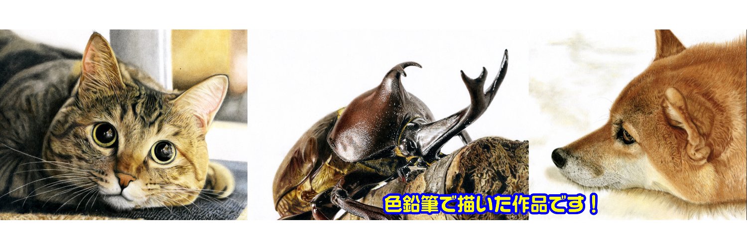 ここまる's banner
