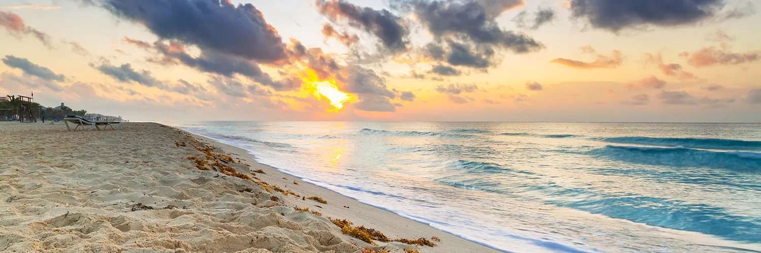 La de la playa 🌴's banner