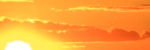 4BIDDENFRUIT's banner