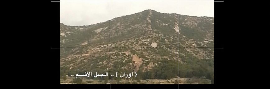 ركبان القرني's banner