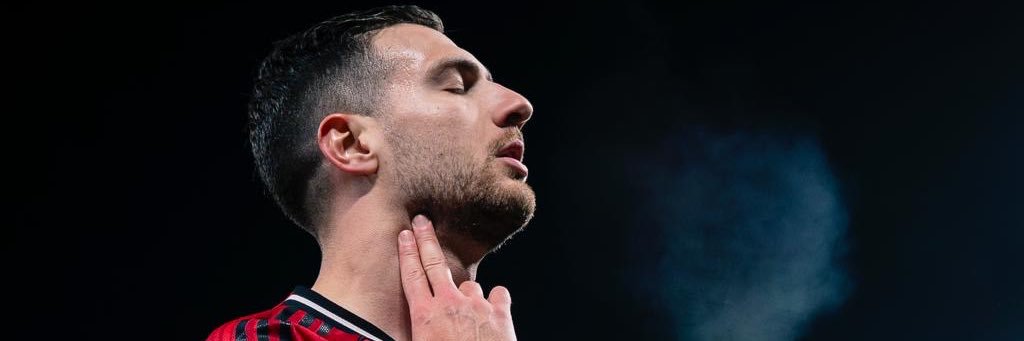Diogo Dalot's banner