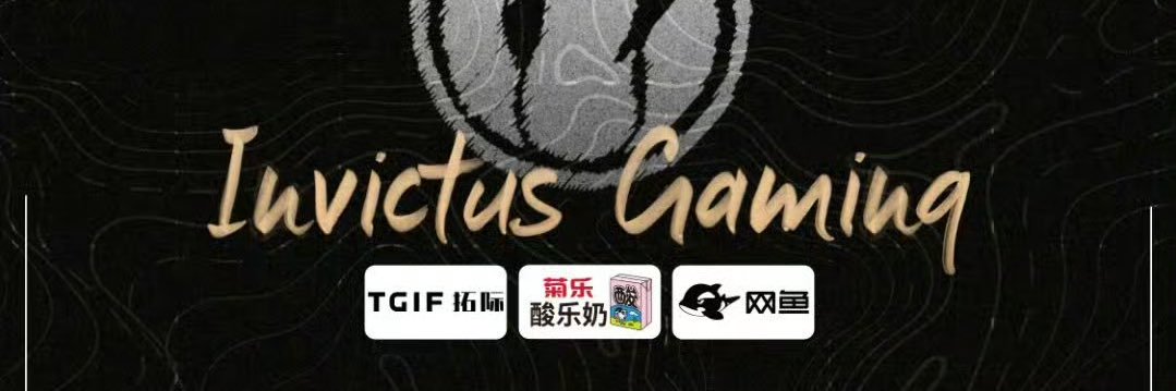 Invictus Gaming's banner