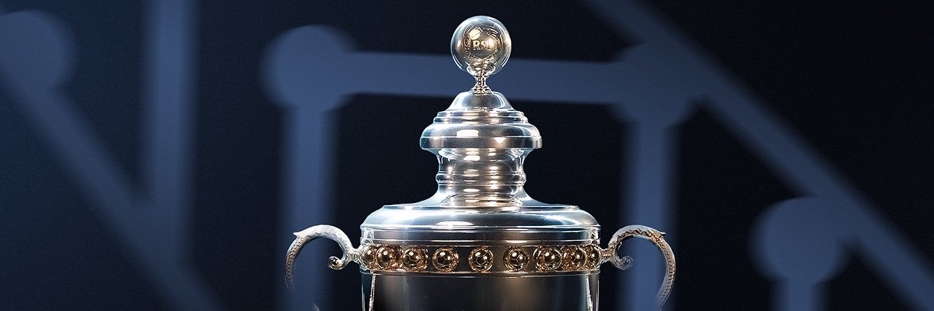 دوري روشن السعودي's banner