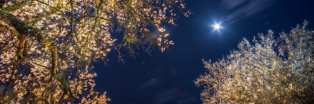 ⒽⒶⓀⒾⓂ's banner