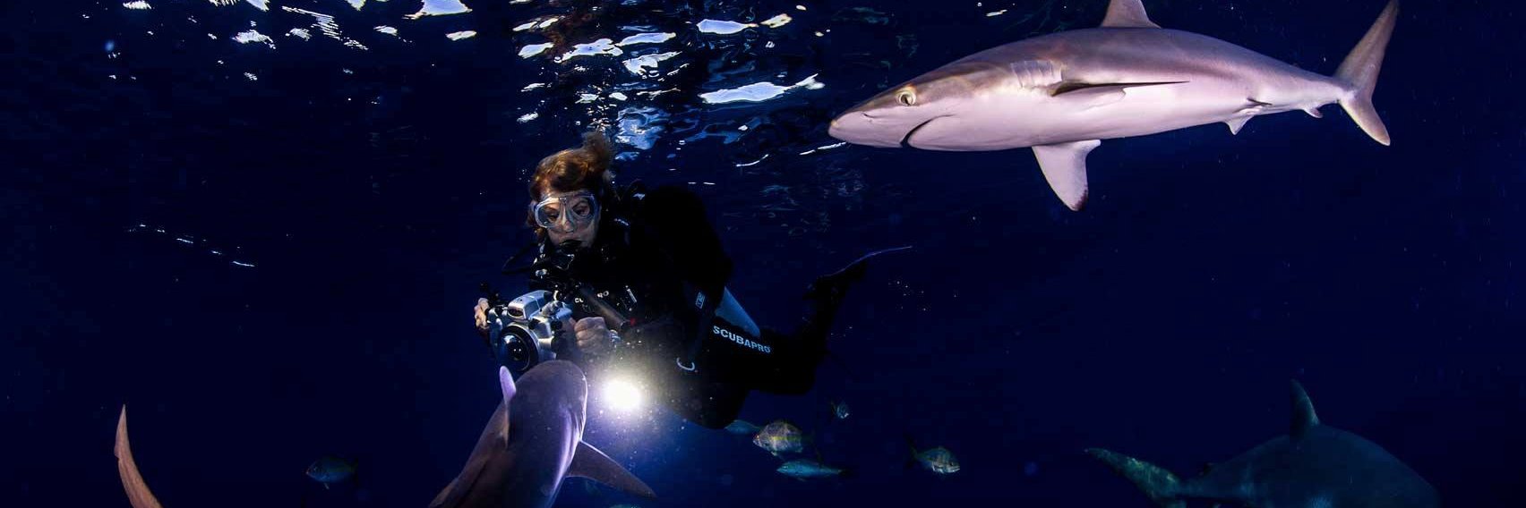 Sylvia A. Earle's banner