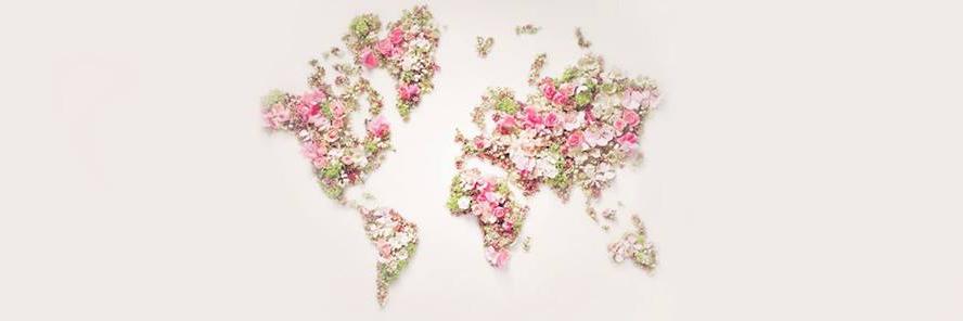 𝓜𝓮𝓲𝓶𝓪 🌸's banner