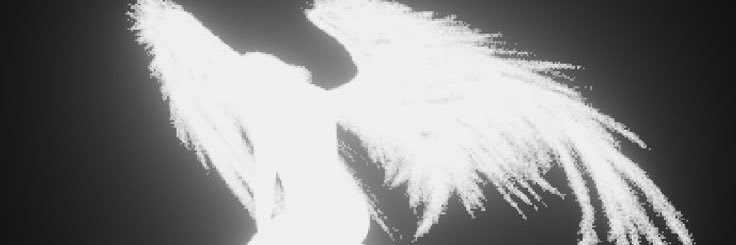 ash's banner