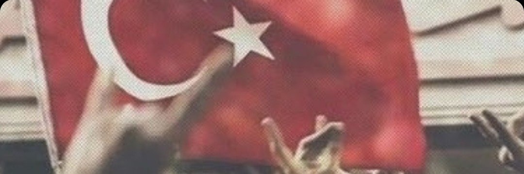 Sibel KURT🐺🇹🇷's banner