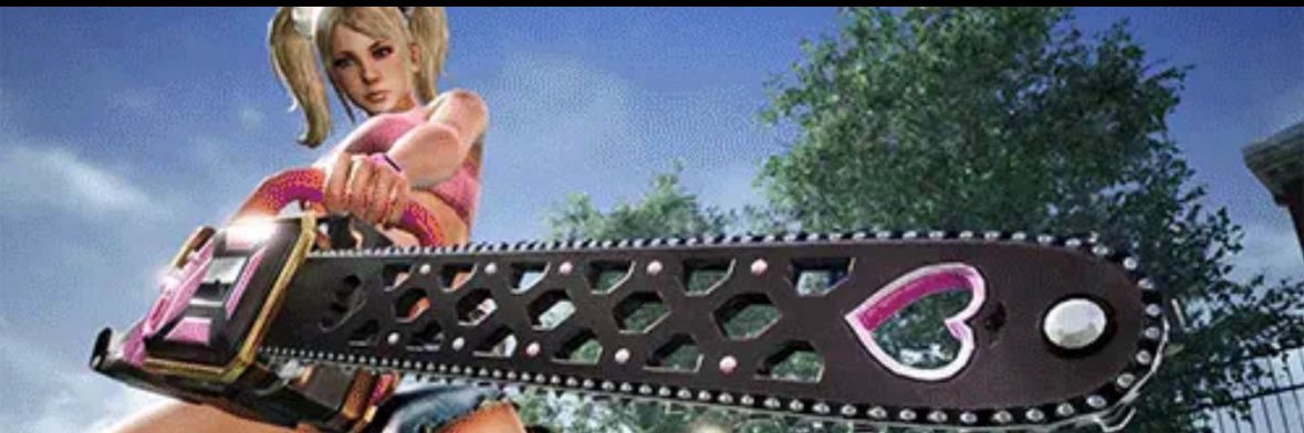 La Bella Don's banner
