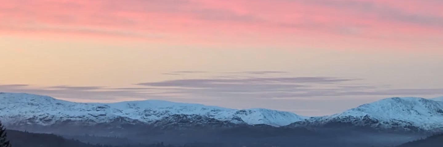Danielle Sharp's banner