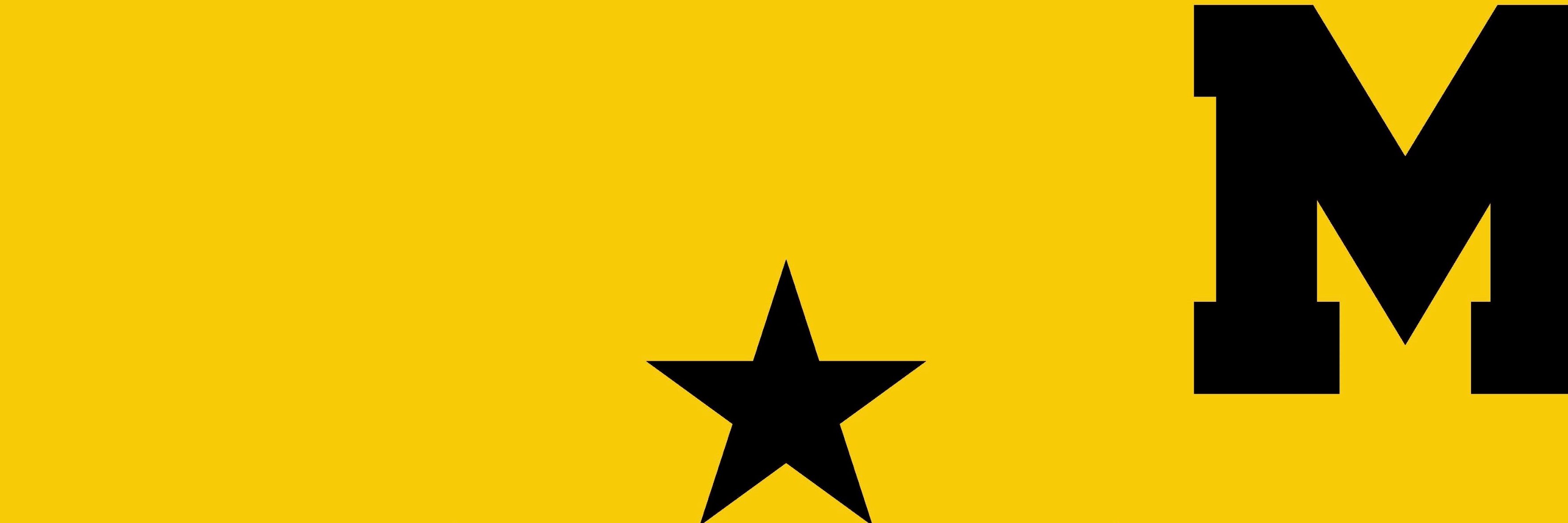 Montour High School's banner