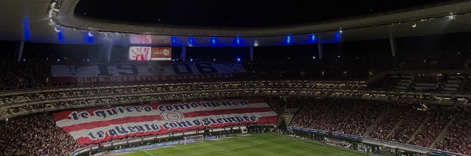 vita fer's banner