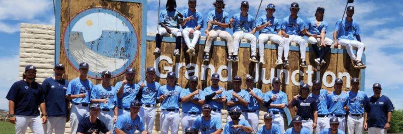 Andrew College Baseball's banner