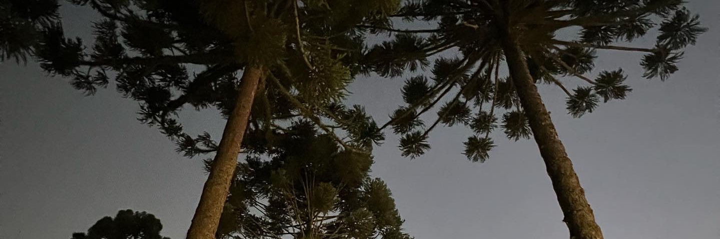 Requião Filho's banner