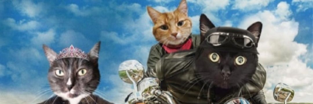 Lisa 😺🛍⚽️💃💅✌🥦🥕🌽's banner