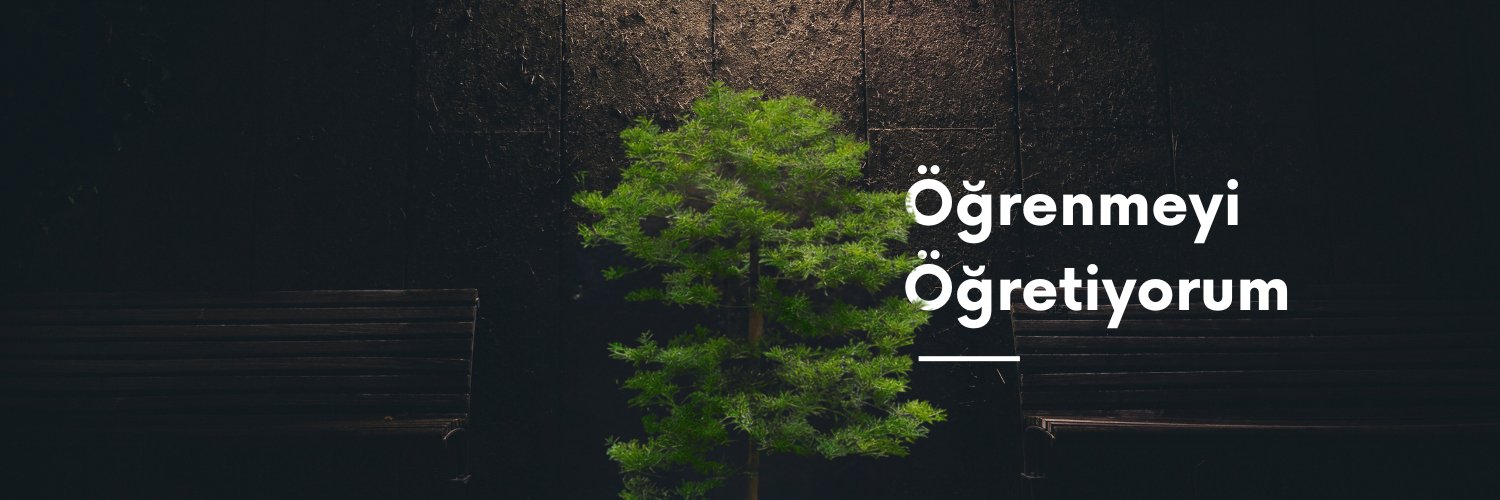 Rustem Temriyev's banner