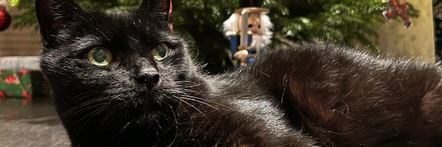 Pépito's banner