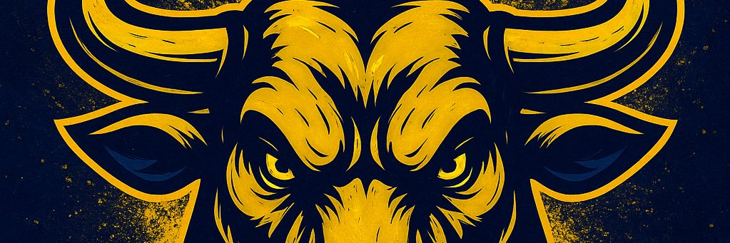FenerliReiS's banner