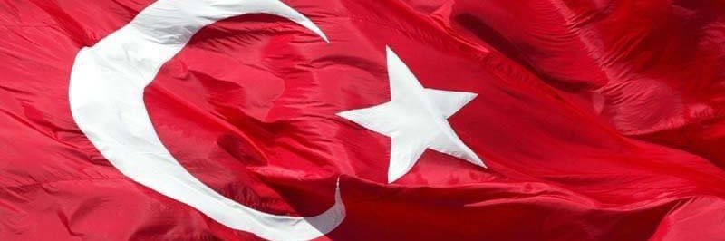 🇹🇷 Songül Başkaya's banner