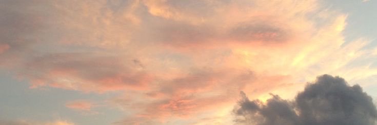 syd ✿'s banner
