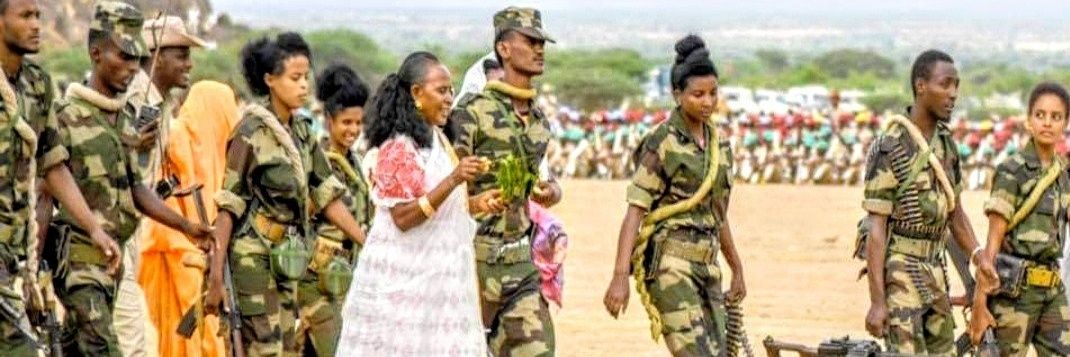Proud 2b Eritrean's banner