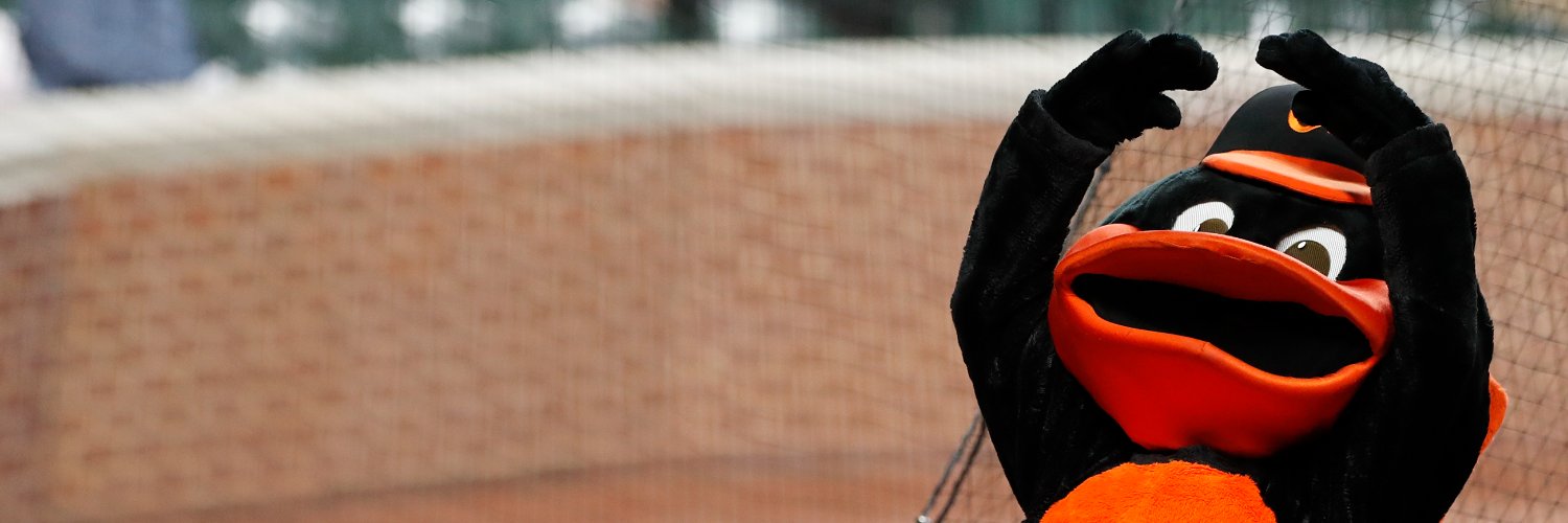 The Oriole Bird's banner