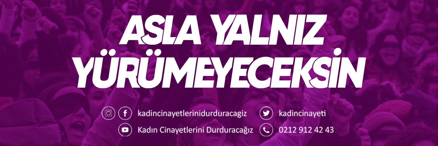 Kadın Cinayetlerini Durduracağız Platformu's banner