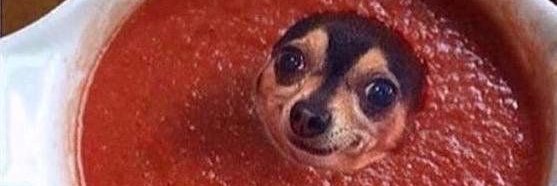 DiddySauce's banner
