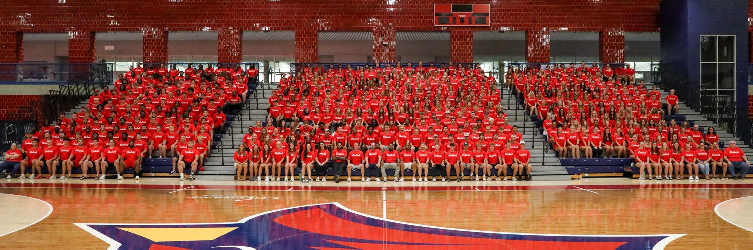 svsuathletics's banner