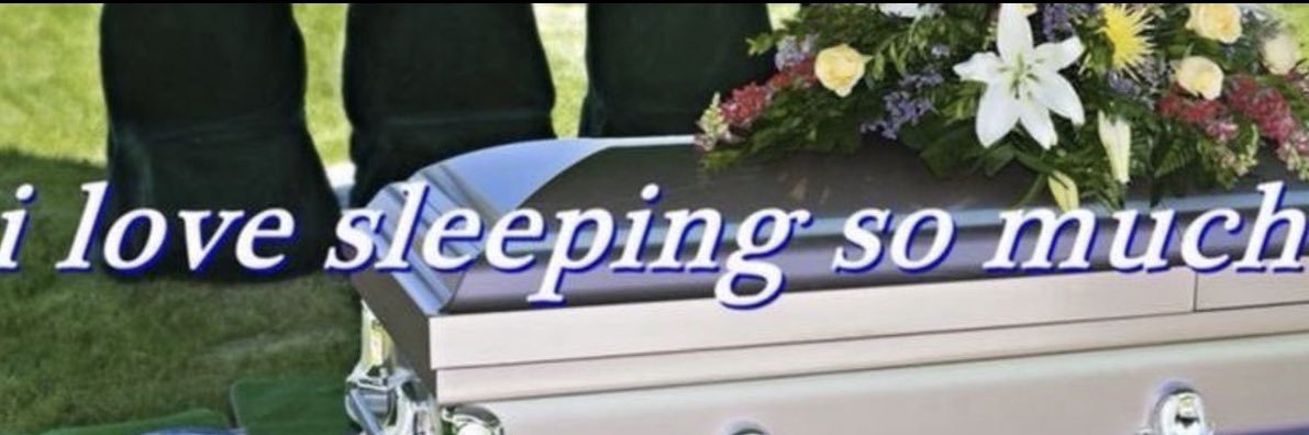 LIZ's banner