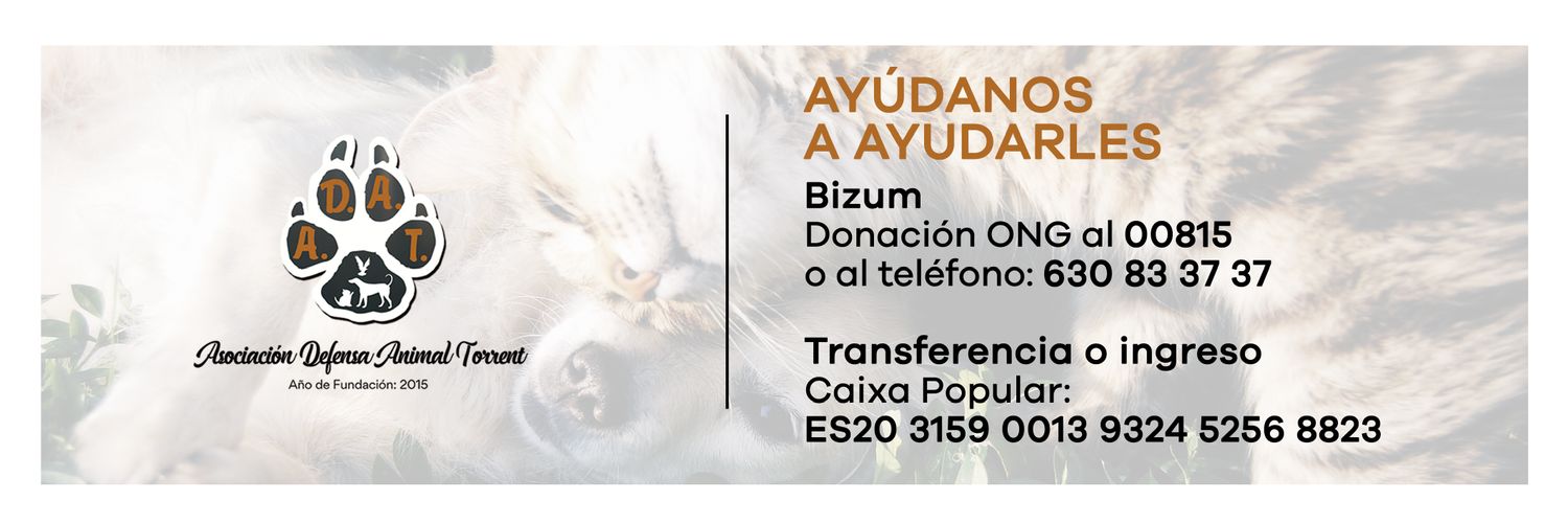 ADAT's banner
