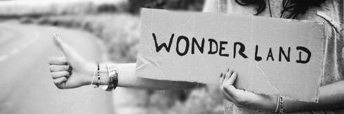 🇿🇦 Wonderland 🇿🇦's banner