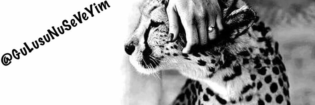 《♡GüLüsüNüSeVeYim♡》🇹🇷🇹🇷's banner