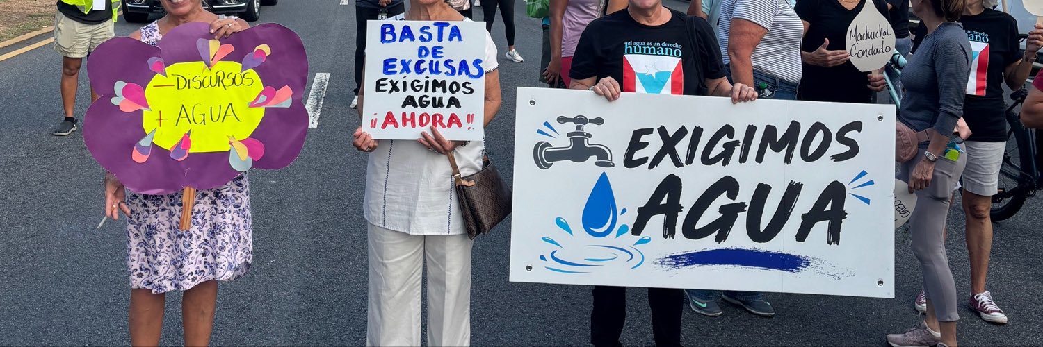 Rosa Seguí Cordero's banner