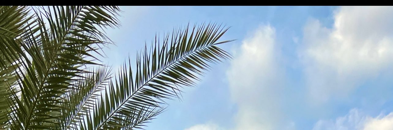 شماليّه 🌴's banner