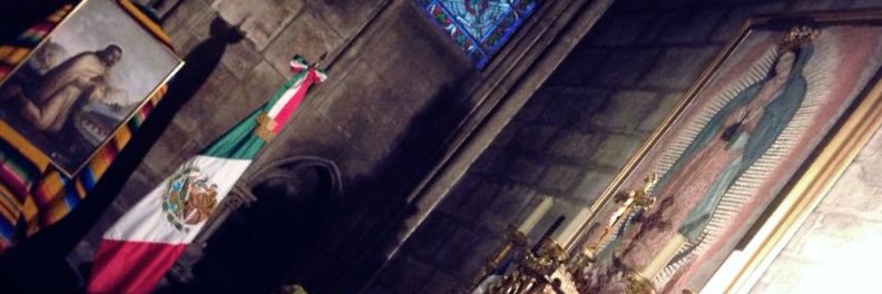 Laura N. Rodríguez Presa's banner