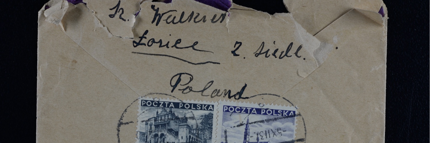 Madeline Peltz's banner
