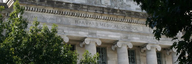 Harvard Global Surgery's banner